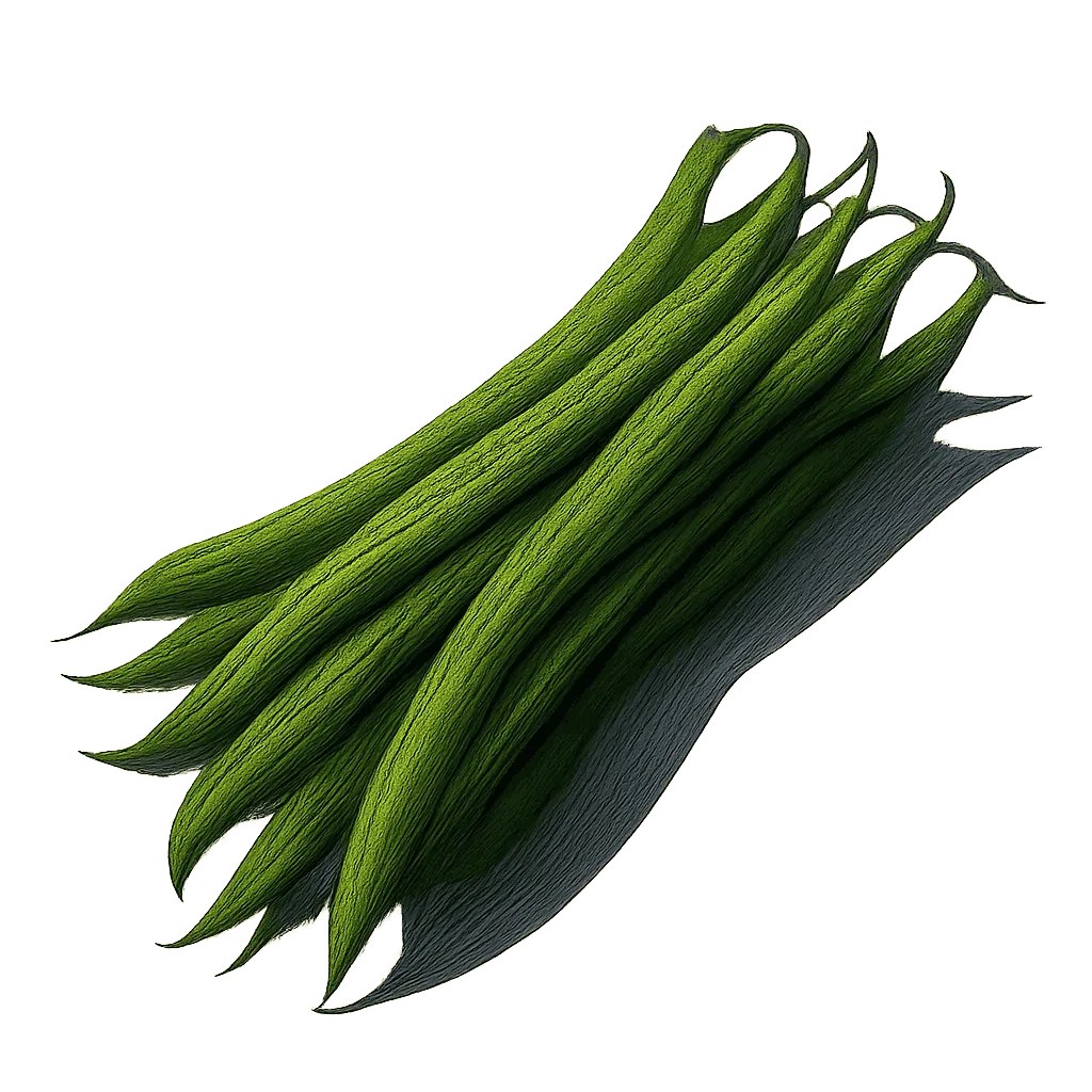 Haricot vert